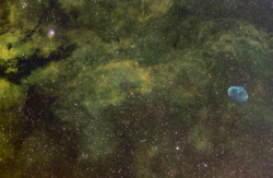 Central Cygnus