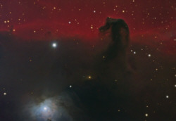 Horsehead In Orion