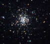 M56