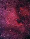 NGC7001 in Cygnus