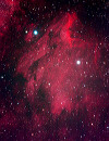 IC5070 in Cygnus