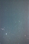 Another Bright Leonid Meteor